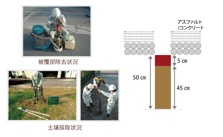 表層土壌調査