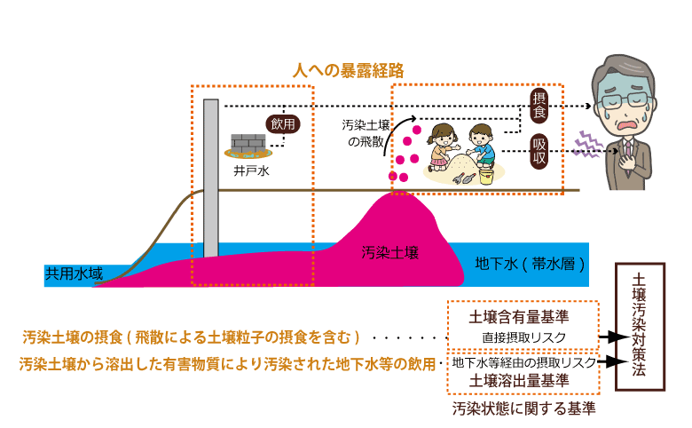 土壌含有量基準と溶出量基準